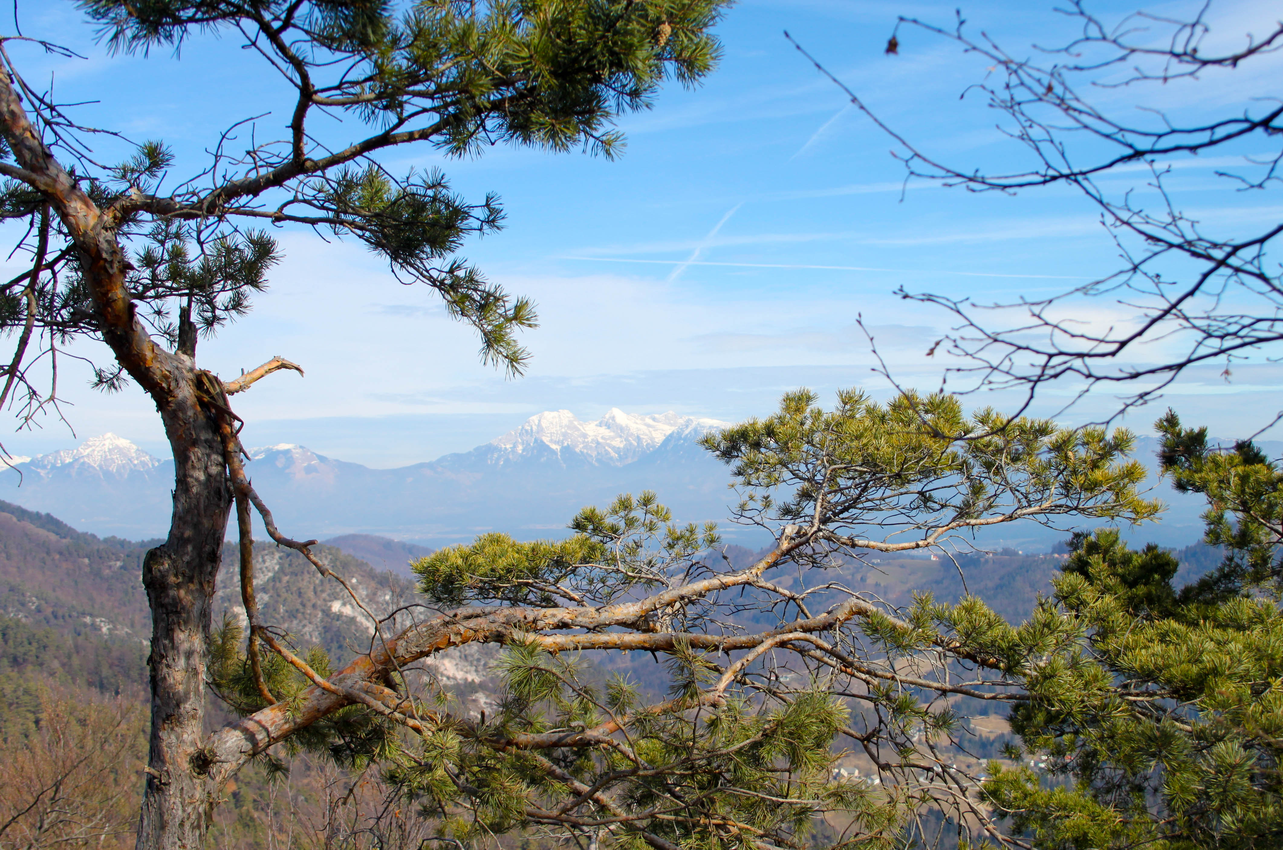 TOŠČ IN GRMADA S PSOM