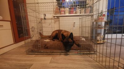 UPORABA HIŠNEGA BOKSA