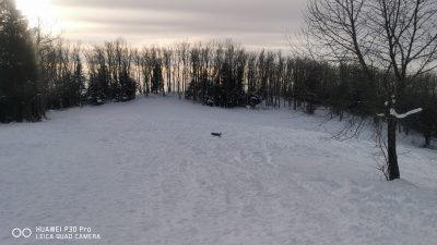 SNEŽNI VELIKI JAVORNIK