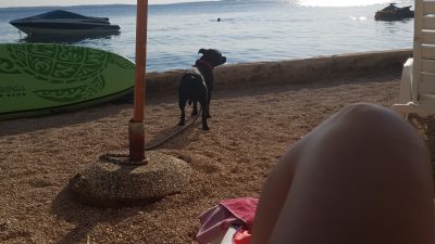 RAŽANAC – PENZION AUGUSTINO