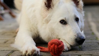 KAKO UGOTOVIMO PRAVILNO DOLŽINO KREMPLJEV