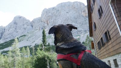 TRIGLAVSKA JEZERA, krožna pot čez KOMNO in KOMARČO