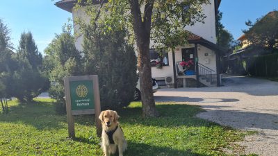 APARTMAJI KOMAN – Apartma Stol