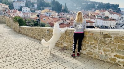 APARTMA CASA DAVID – PIRAN