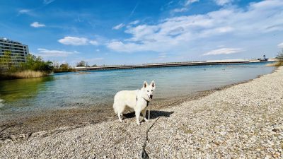 FeelGood Apartmaji LakeLiving, Dunaj