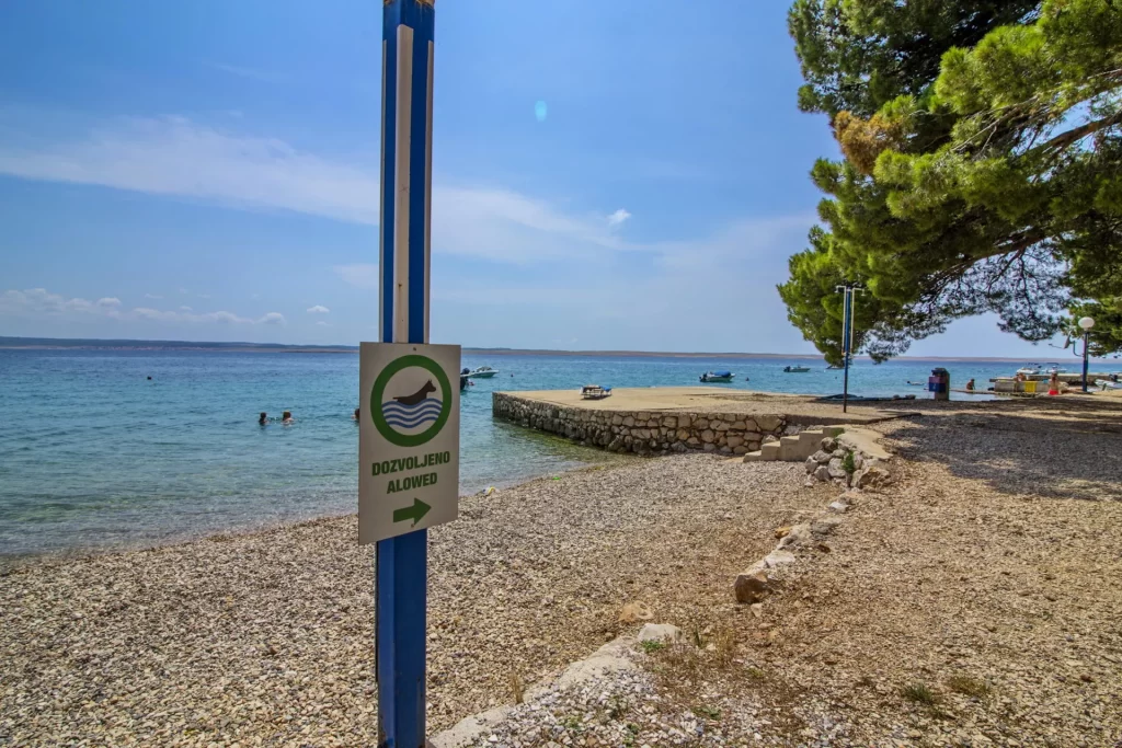 This image has an empty alt attribute; its file name is 1000010895-1024x683.webp