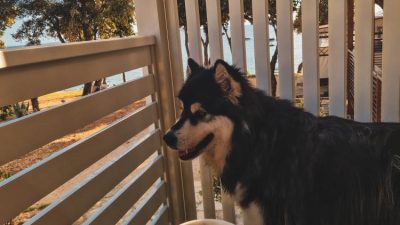 Kamp Straško Pag – mobilne hiške