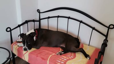 Apartmaji 4M v Kostreni