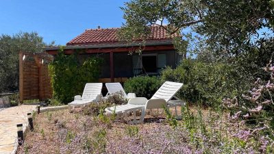 Robinzonska počitniška hiša na otočku Žižanj