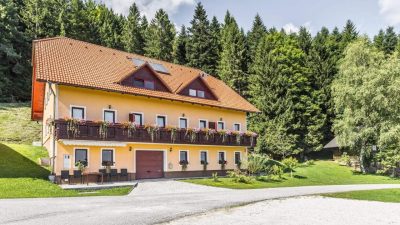 Apartmaji Planina pod Sumikom