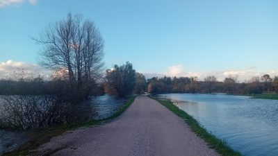 LJUBLJANSKO BARJE UČNA POT BEVKE S PSOM