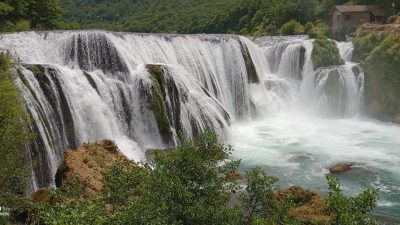 Počitnice v Bosni s psom