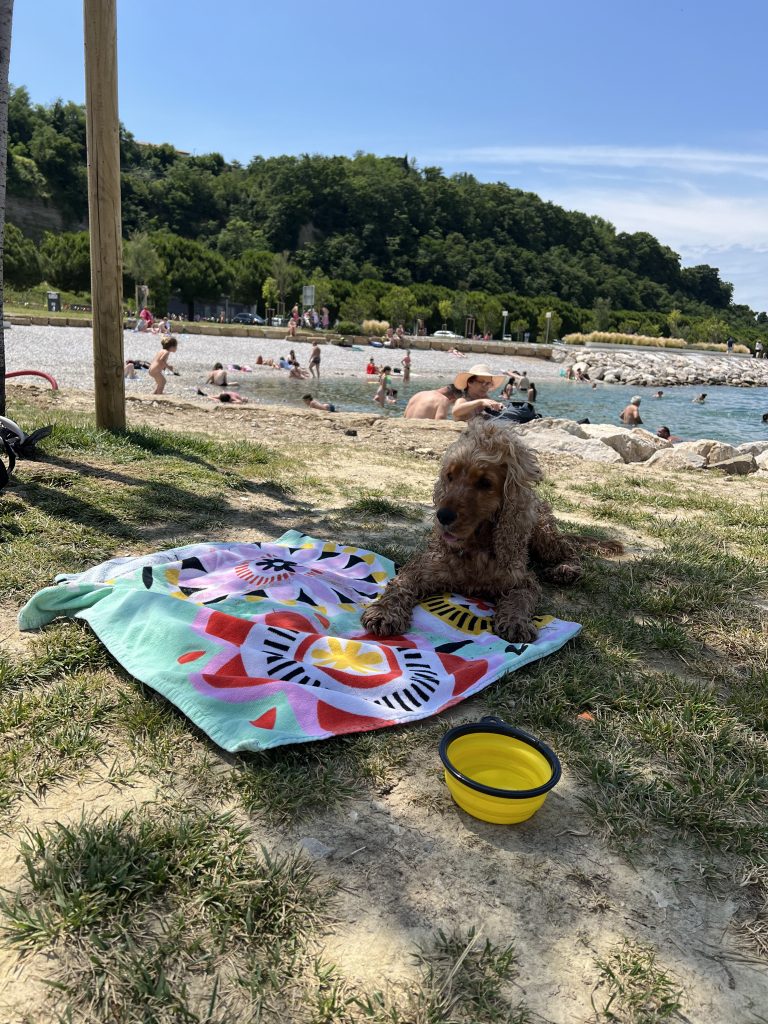 This image has an empty alt attribute; its file name is IMG_2839-768x1024.jpg