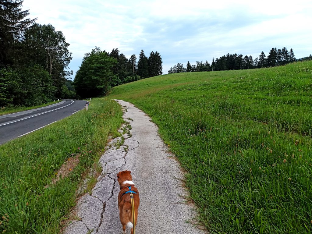 This image has an empty alt attribute; its file name is IMG_20240624_080749_025-1024x768.jpg