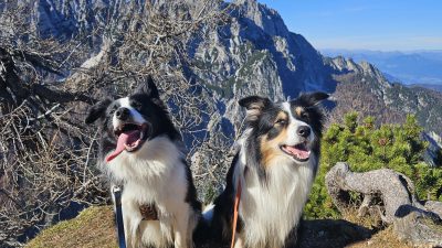 SLEMENOVA ŠPICA S PSOM