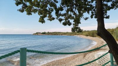 Pasja plaža Dog dreams and beach bar Novigrad
