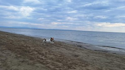 Pasja plaža Lido di Fido Gradež