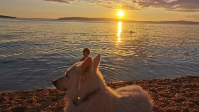 Pasja plaža Kamp Kovačine Cres