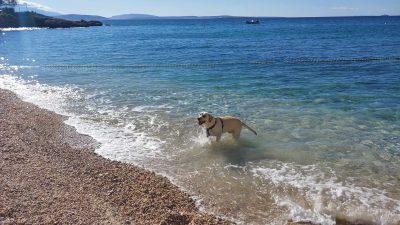 Pasja plaža Kamp Škrila Krk