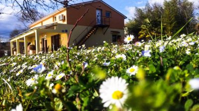 Apartma Golden Valley