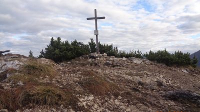 Visoki Mavrinc s psom