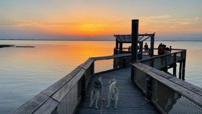Pasja plaža Doggy Beach Lignano Sabbiadoro