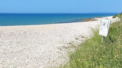 Pasja plaža Braničevica, Gajac