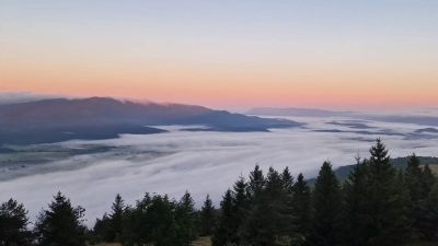 GRAHOVO-SLIVNICA-GRAHOVO, KROŽNA POT S PSOM