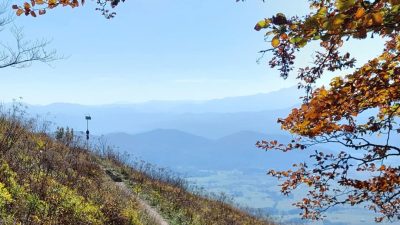 MARTINJAK – SLIVNICA S PSOM