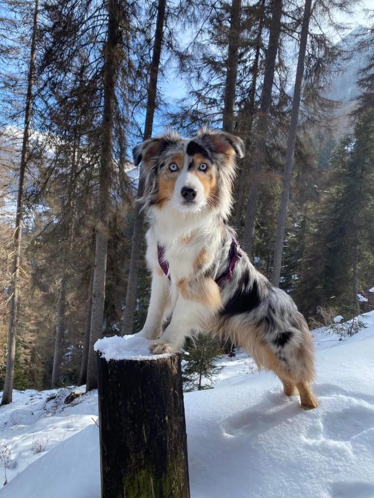 Še malo poziranja na Val Contrin