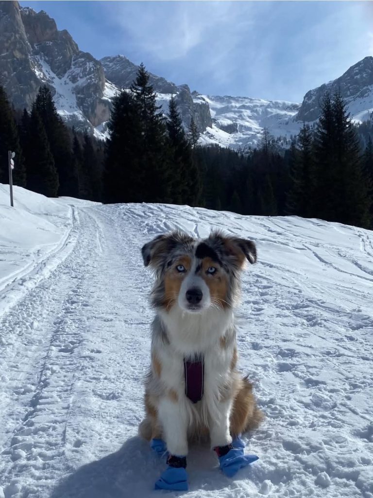 Tukaj smo se odpravili od izhodišča.
