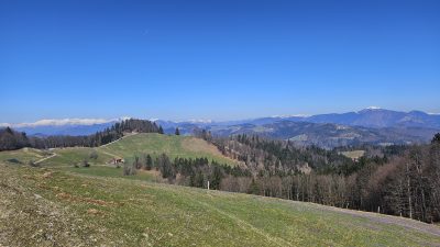 MRZLI VRH IN LOCMANOVA SIVKA S PSOM