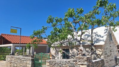 Kamnita hiška na otoku Brač – psom prijazno