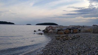 Pasja plaža Kamp Bjela Uvala, Poreč