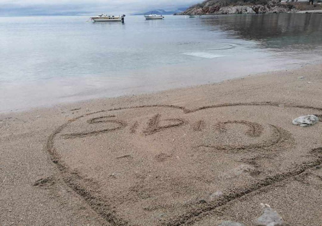 Psu prijazen dopust ob morju Hrvaška