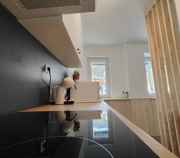 kuhinja - psom prijazen apartma