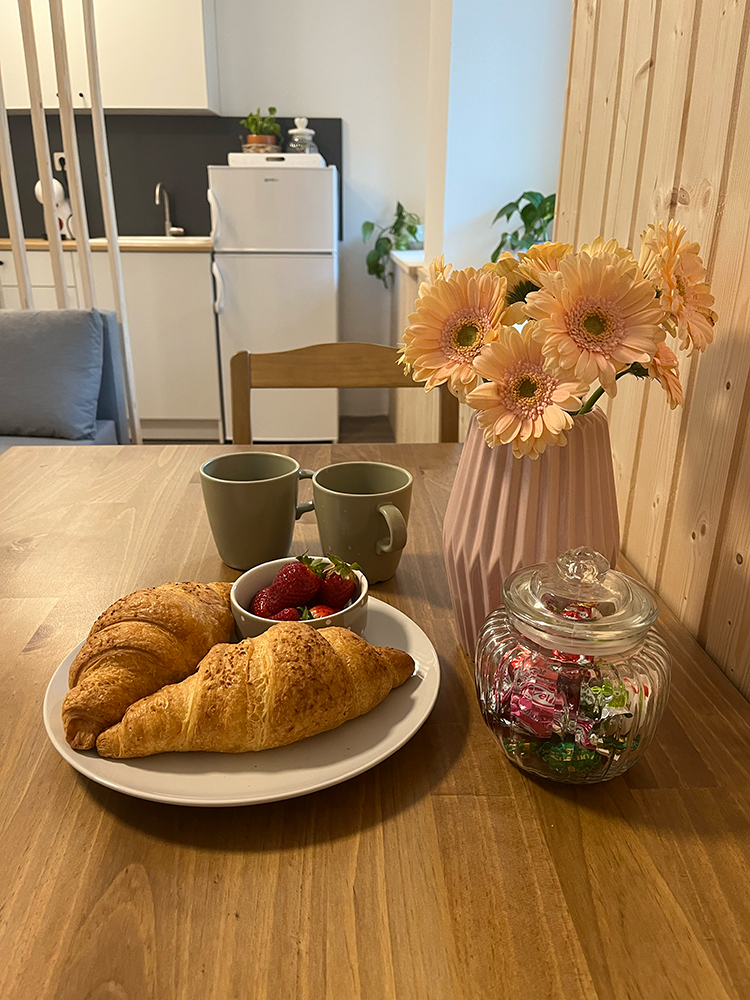 kuhinja, dobrodošlica - psom prijazen apartma