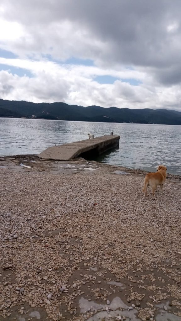 Pasja plaža počitniška hiška Perna