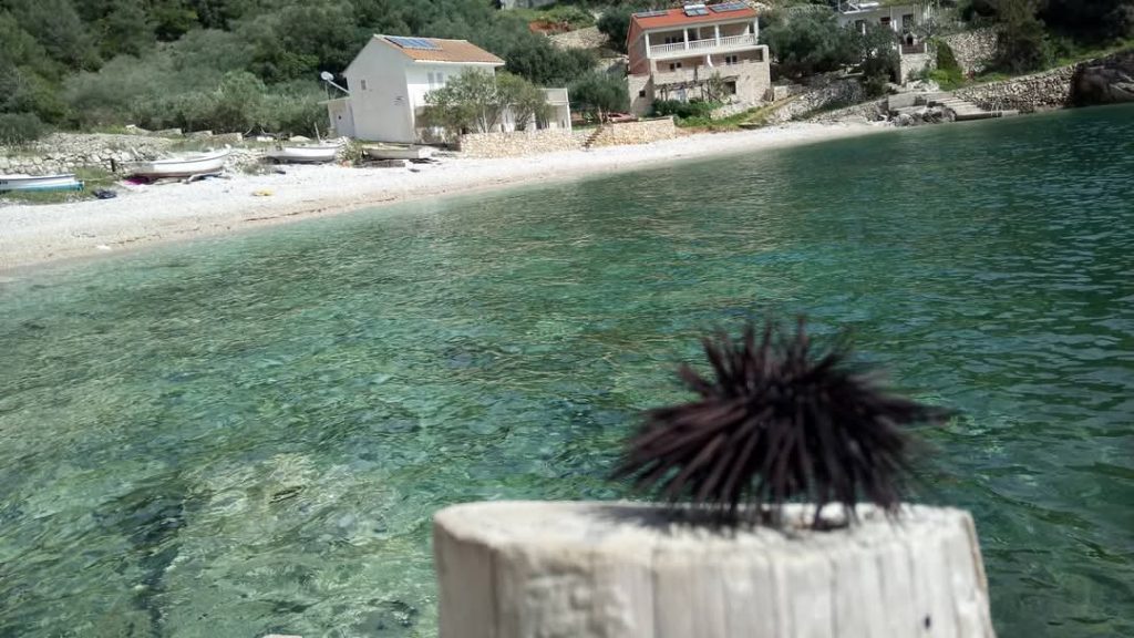 Kristalno čista prodnata plaža v bližini robinzokih hišic Skozanje