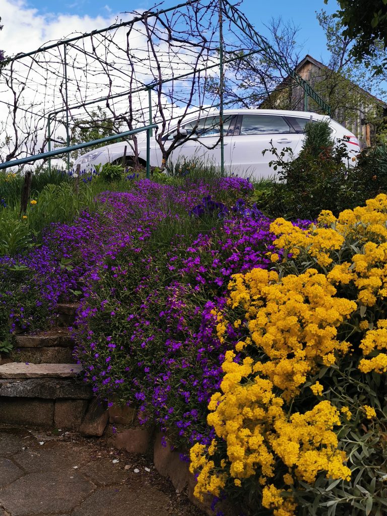 Parkirišče ob koči z vrtom in pomladnim cvetjem