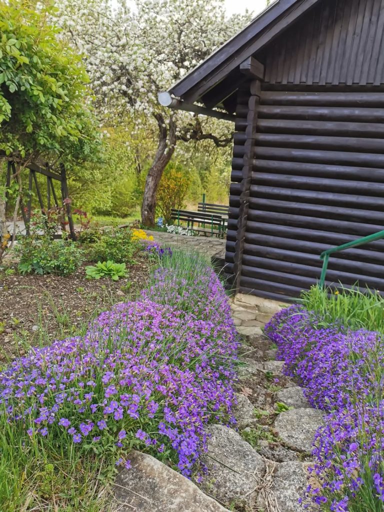 Cvetoč vrt z razgledom ob koči Podčetrtek