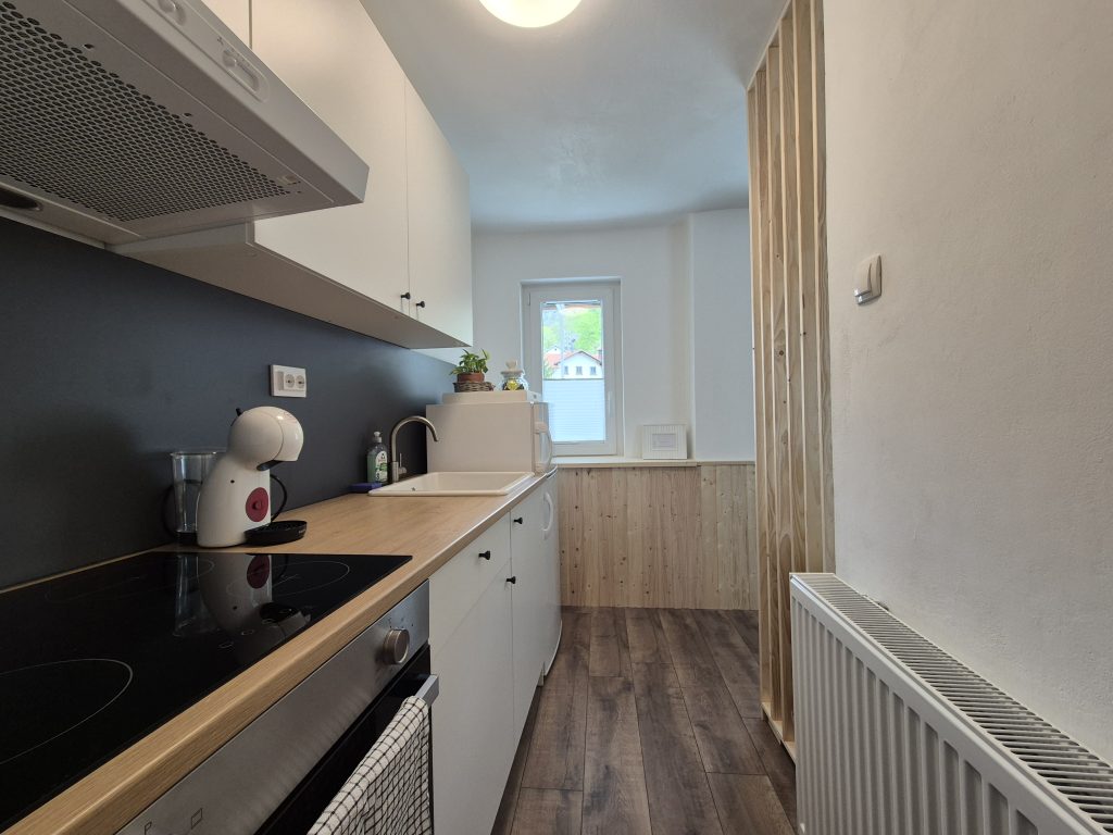 kuhinja - psom prijazen apartma