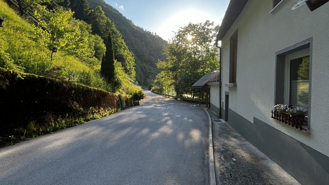 psom prijazen apartma