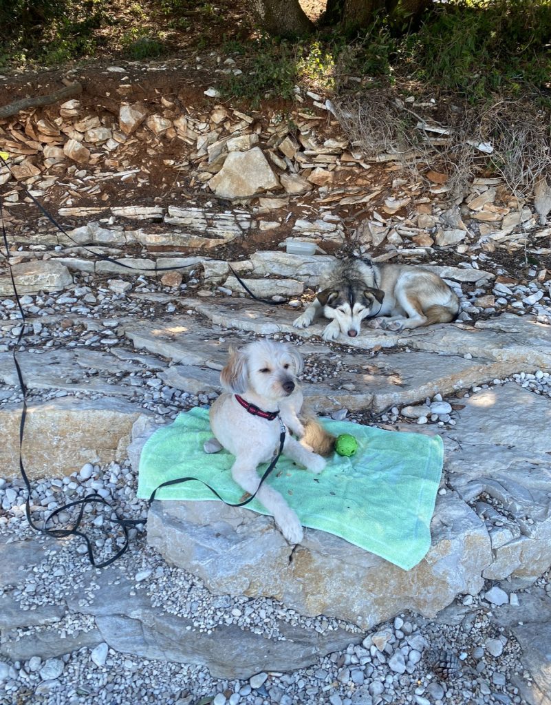 Pasja plaža v senci kamp Brioni