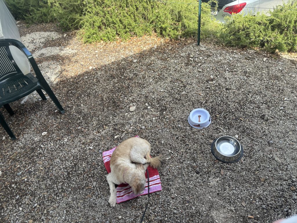 Zunanjost hiške v kamp Brioni