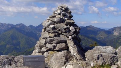 Virnikov Grintovec s psom