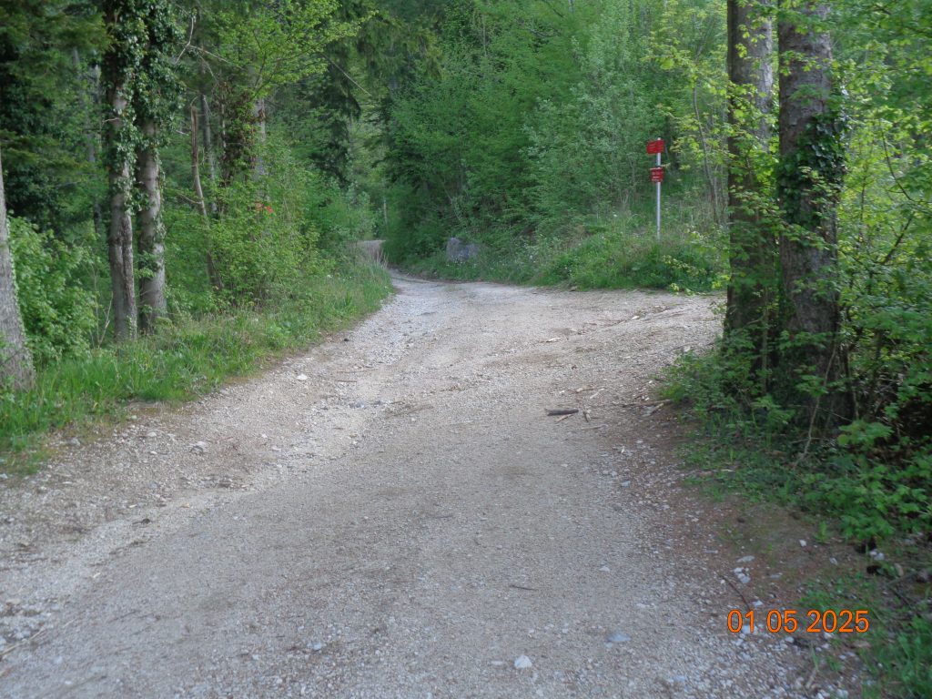 Do Velike Poljane štartamo po cesti