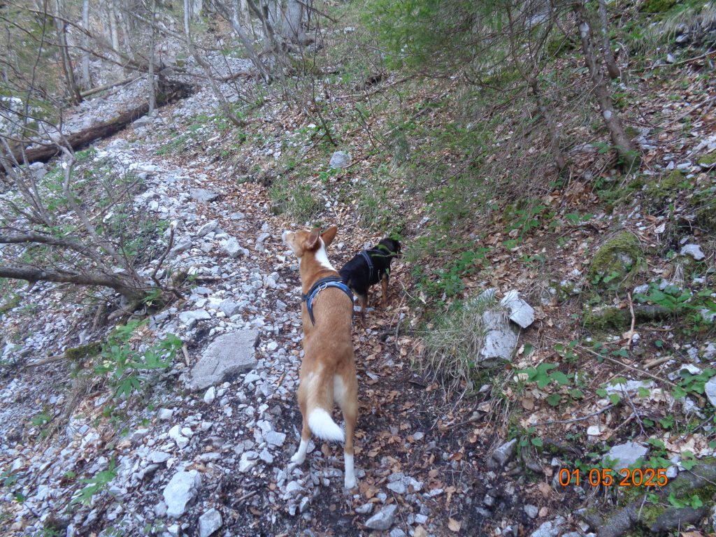Potrebno je biti previden zaradi kamenja