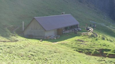 Velika Poljana (čez Malo Poljano) s psom