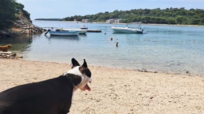 Pasja plaža Lošinj – Kovčanje